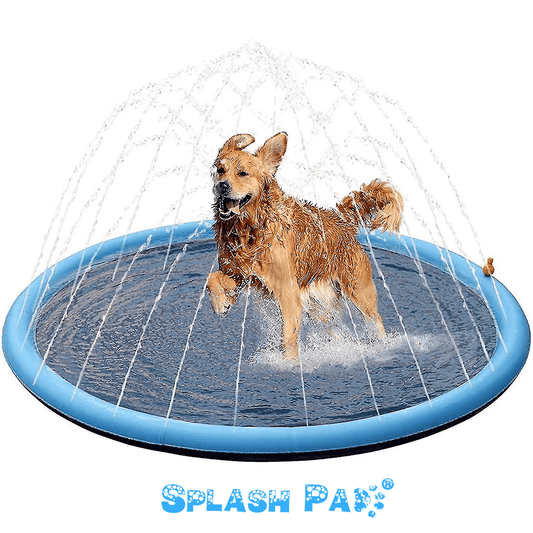 Rociadora de Agua Splash Pad® / Mascotas